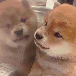 图片区小说区自拍亚洲
